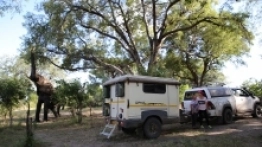 Popularnym modelem przyczepy jest Jurgens Safari Oryx – nieduża o dmc 1250 kg  - zdjęcie 5